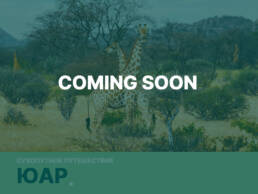 маршрут-юар-cs-1 5 маршрут юар cs 1 uai Авторские путешествия по миру Kurs180 | Путешествуй Иначе