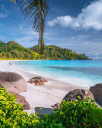 Пляжи Сейшел: топ-8 популярных и уединенных локаций 10 Пляжи Сейшел-1