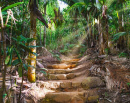 маршрут-сейшелы-день-5 11 маршрут сейшелы день 2 uai Авторские путешествия по миру Kurs180 | Путешествуй Иначе