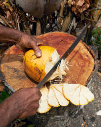 seychelles-gallery-7 20 seychelles gallery 7 uai Авторские путешествия по миру Kurs180 | Путешествуй Иначе