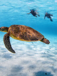 Путеводитель по Сейшелам: чем заняться и что посмотреть 4 blog-путеводитель-по-сейшелам-4